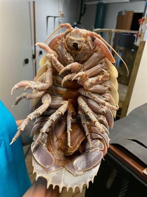  Giant Isopod: A Deep-Sea Dweller With Armored Plates and Remarkable Longevity!